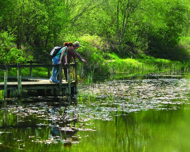Potteric Carr Nature Reserve - Credit Catrin Rees.