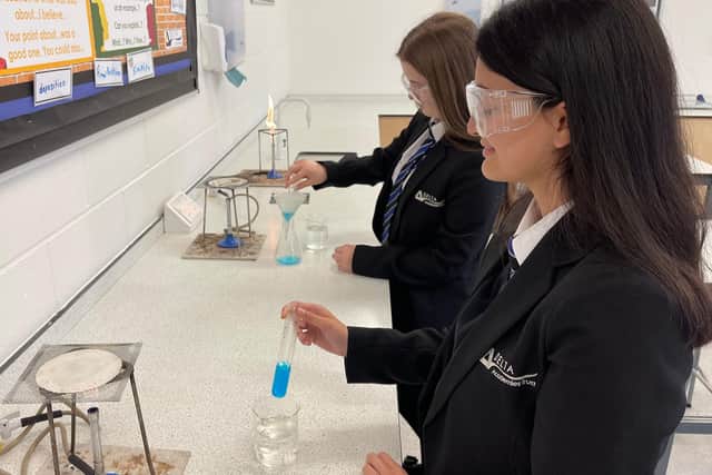Schools and colleges receive the Science Mark when they can show that they are delivering inspiring lessons for students