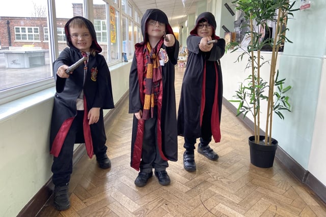 Waverley Year 3 - Chestnut Class Harry Potter.