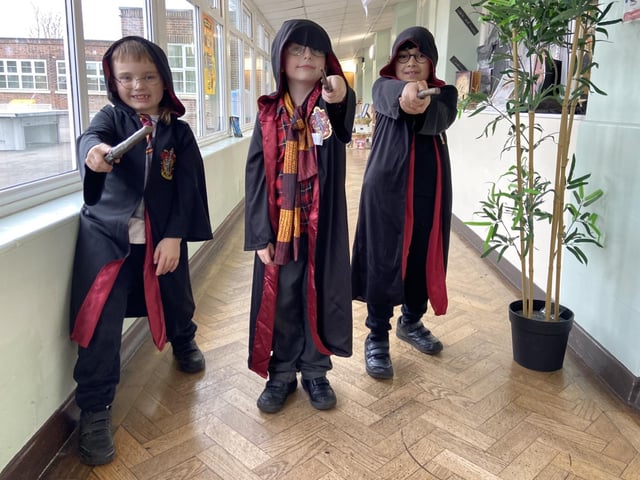 Waverley Year 3 - Chestnut Class Harry Potter.