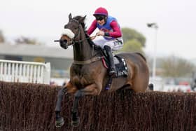 Threeunderthrufive, pictured winning at Cheltenham in November. Photo: Alan Crowhurst/Getty Images