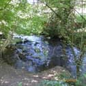 Enjoy a walk from Roche Abbey with Doncaster Ramblers