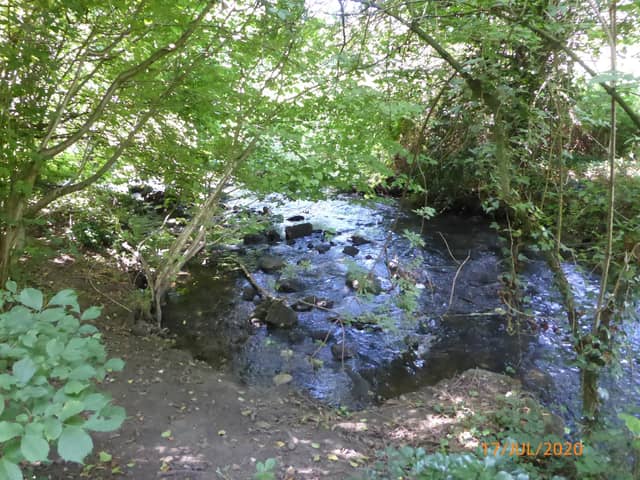 Enjoy a walk from Roche Abbey with Doncaster Ramblers