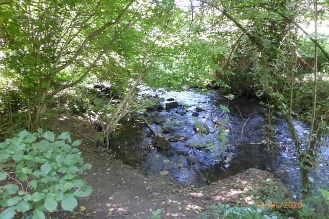 Enjoy a walk from Roche Abbey with Doncaster Ramblers