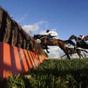 Action from Kempton. Photo by Alan Crowhurst/Getty Images