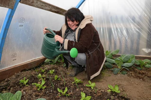 Sandra Faulkner, pictured with her indoor Lettuce, grown in a Polytunnel. NDFP-09-03-21-StrawberryIsland 3-NMSY