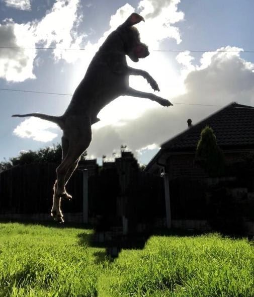 To infinity and beyond was taken by Millie Travis, aged 15, from Rotherham