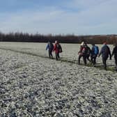 The grass was wet with melting snow