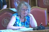 Councillor Sue Alston, a member of Sheffield City Council who also sits on the South Yorkshire Fire and Rescue Authority. Picture: Sheffield Council webcast