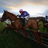 Dingo Dollar, ridden by Wayne Hutchinson. Photo: Alex Livesey/Getty Images
