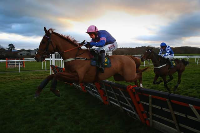Dingo Dollar, ridden by Wayne Hutchinson. Photo: Alex Livesey/Getty Images