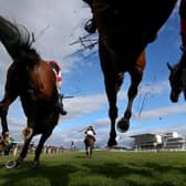 Wetherby Races. Photo by Alex Livesey/Getty Images