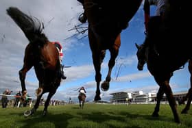 Wetherby Races. Photo by Alex Livesey/Getty Images