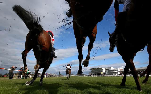 Wetherby Races. Photo by Alex Livesey/Getty Images