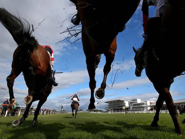 Wetherby Races. Photo by Alex Livesey/Getty Images