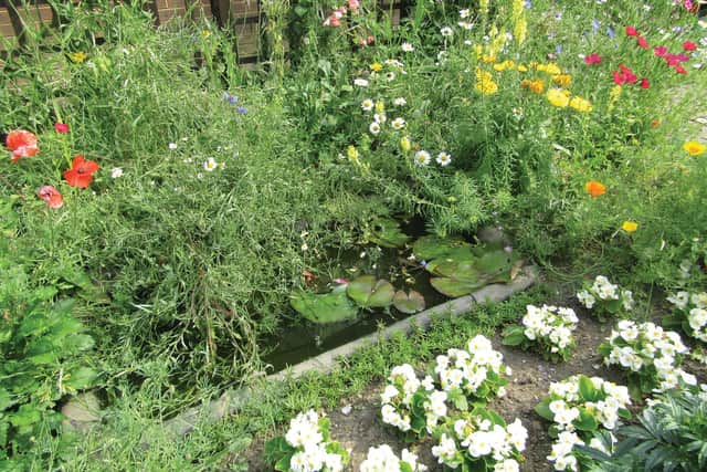 The Wildlife-Friendly garden at Hull Prison