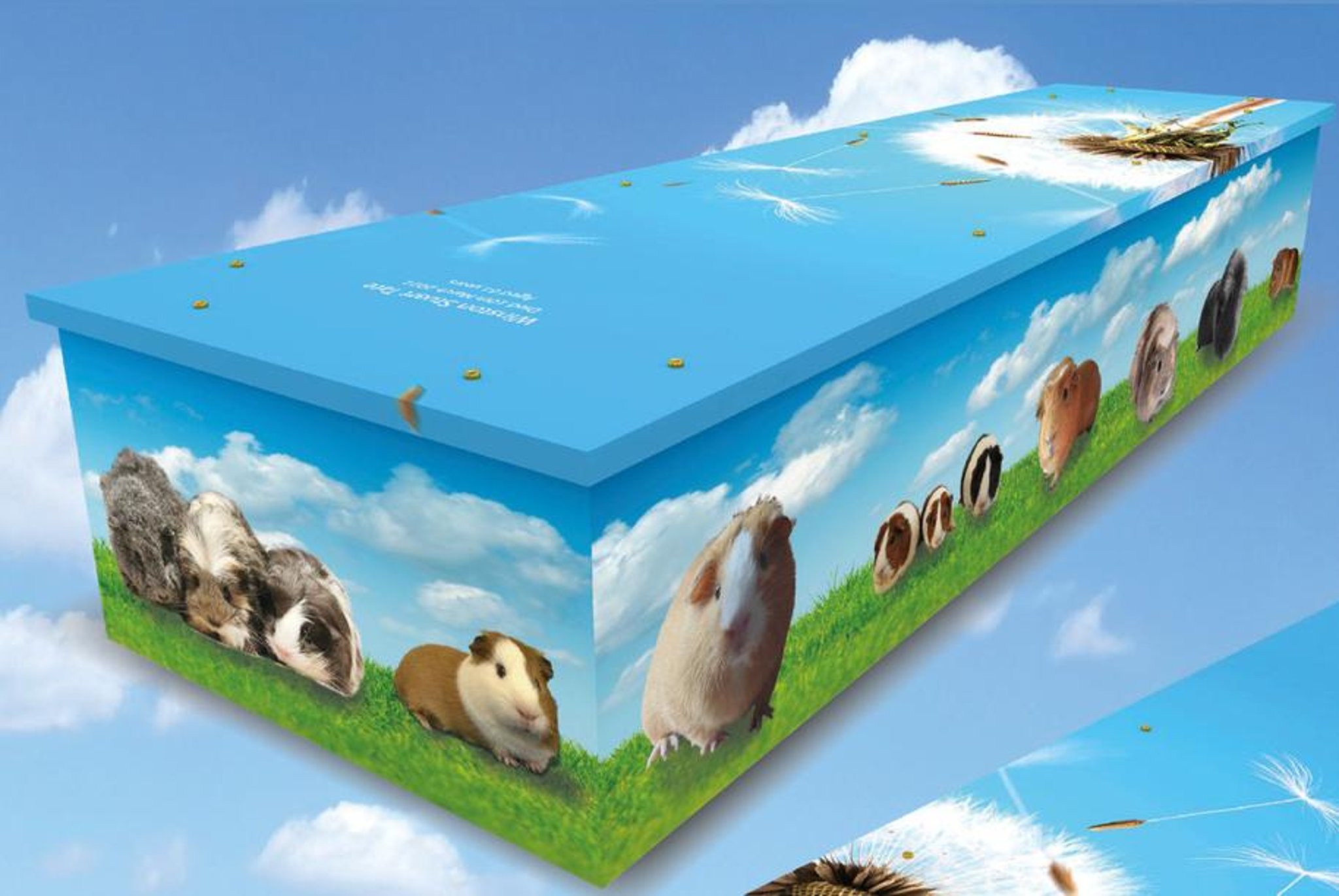 Cavy Corner cofounder will get a stylish sendoff in a guinea pig