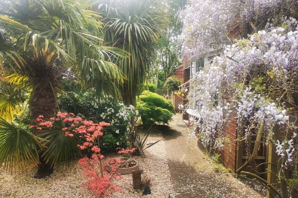 Enjoy open gardens two day event and raise money for worthy causes.