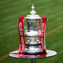The FA Cup. (Photo by Alex Livesey/Getty Images)