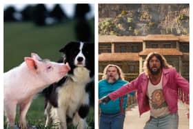Babe and A Minecraft Movie are among the movies at Vue in Doncaster this Easter.