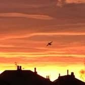 This photograph was submitted by Free Press Facebook follower Connor Andrew and was taken in Bellevue on Sunday evening.
If you have a photograph you would like to share with us then please email editorial@doncastertoday.co.uk including your name and where and when the picture was taken.
