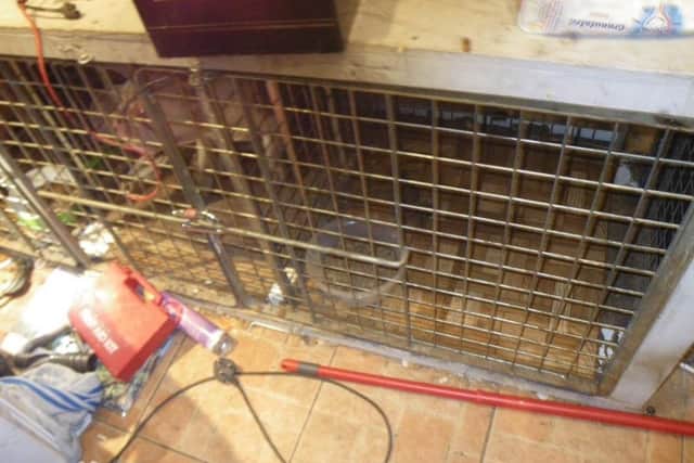 The dogs were kept inside squalid cages.