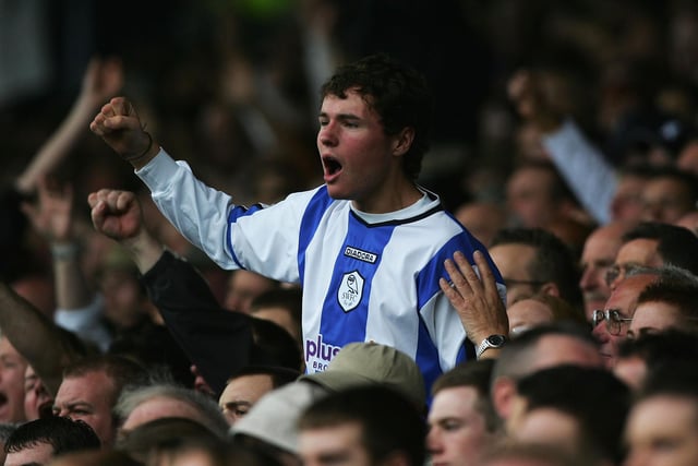 A Wednesday fan celebrates his team staying up during the Coca Cola Championship match with Norwich City at Hillsborough in May 2008.