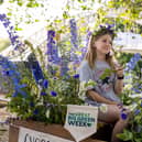 Why not organise an event in  your local community for Great Big Green Week.