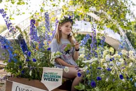 Why not organise an event in  your local community for Great Big Green Week.