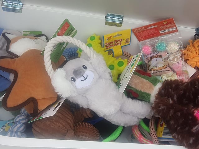Puppy Toy Chest