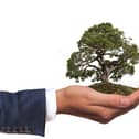 Introduction to Sustainability Course
