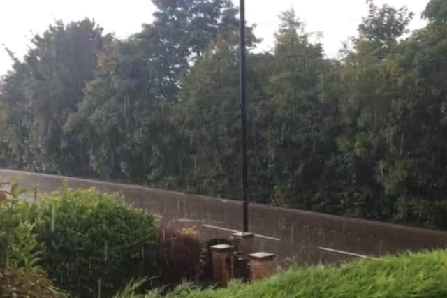 Trees have been removed next to the railway lines in Conisbrough