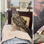 An urgent fundraising campaign has been launched to help Floyd the owl get surgery.