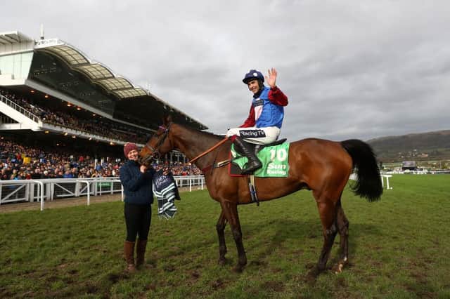 Paisley Park was victorious at the 2019 Cheltenham Festival. Photo: Michael Steele/Getty Images