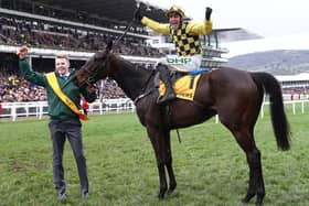 Jockey Paul Townend celebrates aboard Al Boum Photo, winner of last season's Magners Cheltenham Gold Cup.