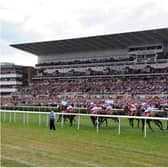 Two horses at Doncaster helped the punter to a huge jackpot.