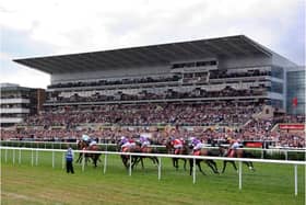 Two horses at Doncaster helped the punter to a huge jackpot.