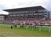 Two horses at Doncaster helped the punter to a huge jackpot.