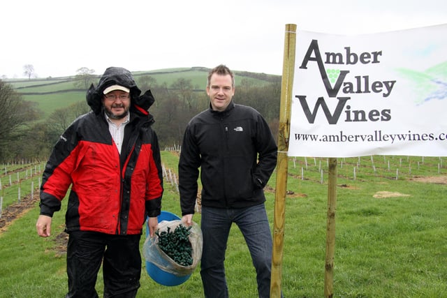 Barry Lewis and Duncan Mercer of Amber Valley Wines near Wessington pictured in their newly planted vineyard in 2012