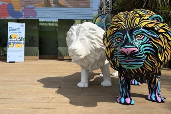 The Pride of Yorkshire revealed its first completed sculptures at a launch event at Yorkshire Wildlife Park – a lion and lioness designed and painted by Tom Newell, and a cub designed by children at the hospital and painted by Sian Ellis.
