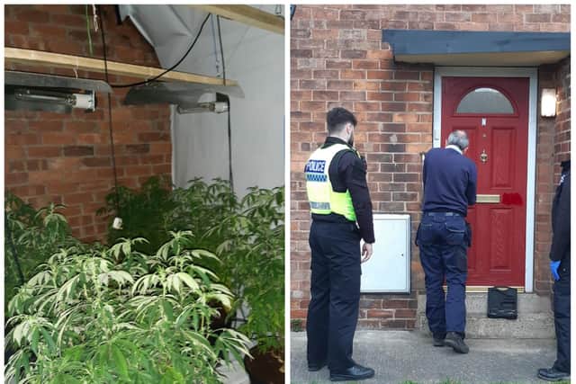 Police found £19,000 of cannabis plants at the house in Carcroft.