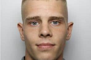 Leon James has been jailed for a string of offences relating to dangerous dogs, guns and drugs.