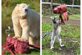 Old fire hoses have been crafted into playthings for animals at Yorkshire Wildlife Park.