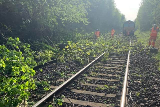 Train services suspended at Doncaster after landslide caused tress to fall on the line.