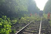 Train services suspended at Doncaster after landslide caused tress to fall on the line.