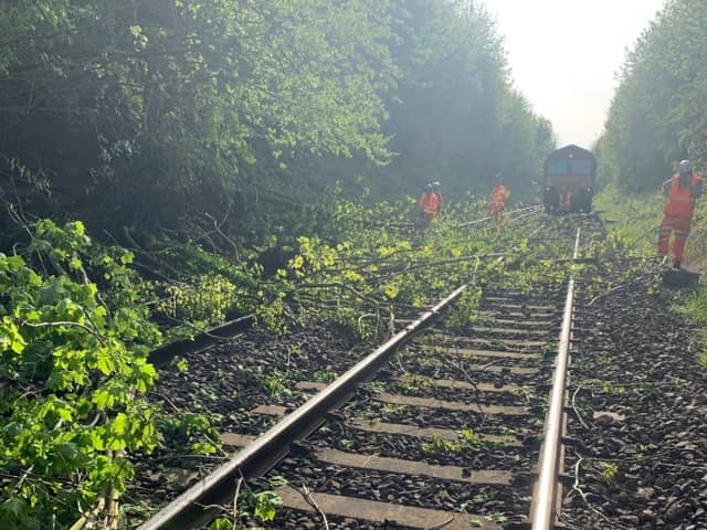 Train services suspended at Doncaster after landslide caused tress to fall on the line.