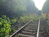 Train services suspended at Doncaster after landslide caused tress to fall on the line.