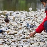 Yorkshire Water invests £6.2m across Doncaster to improve river quality.