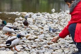 Yorkshire Water invests £6.2m across Doncaster to improve river quality.