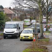 Tree protest in middlefield Road in Doncaster. Picture Scott Merrylees